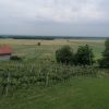 Vino art – navdih najdejo med vinogradi