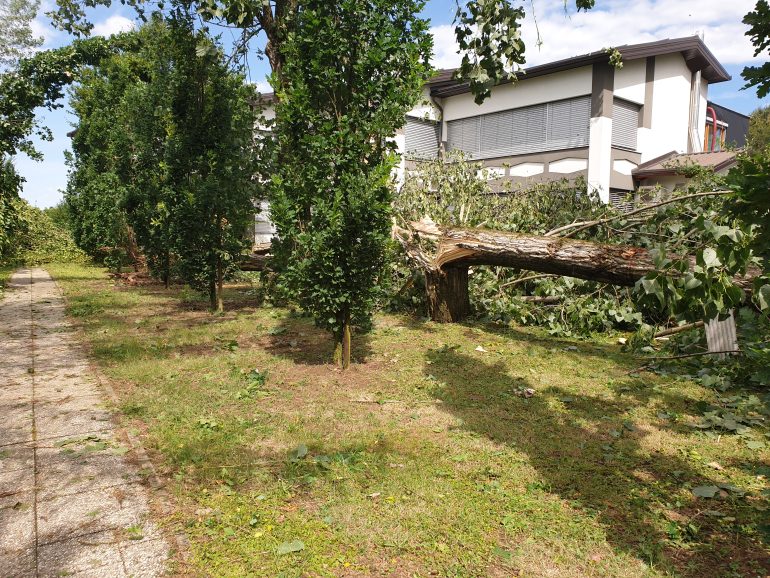 Srednja zdravstvena šola Murska Sobota