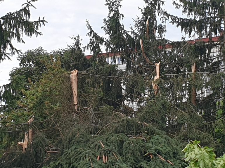Srednja zdravstvena šola Murska Sobota
